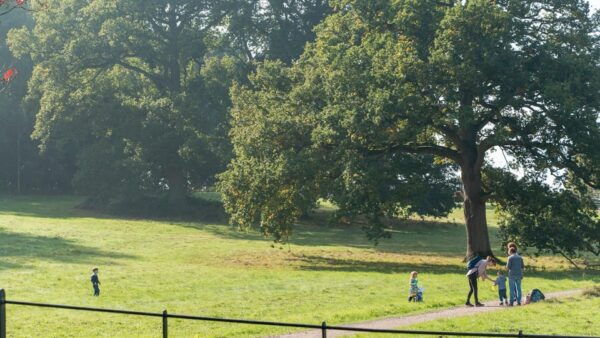 Oxford: Harcourt Arboretum Entry Ticket - Explore Rare Trees