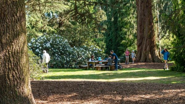 Oxford: Harcourt Arboretum Entry Ticket - Discover Native Species