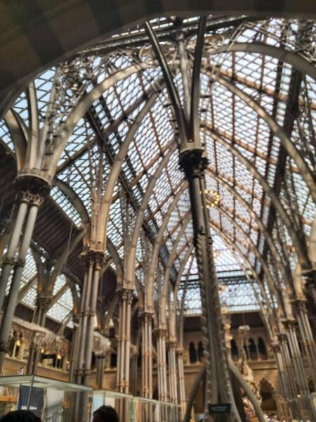 Oxford: Harry Potter Tour - Customer Feedback
