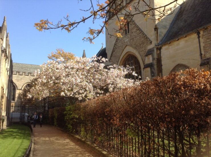 Oxford: Morse/Lewis and Endeavour Walking Tour - Guided Tour Option