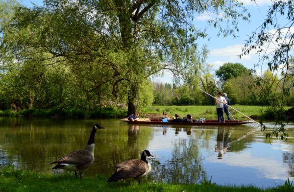 Oxford: Official University and City Walking Tour - Common Questions