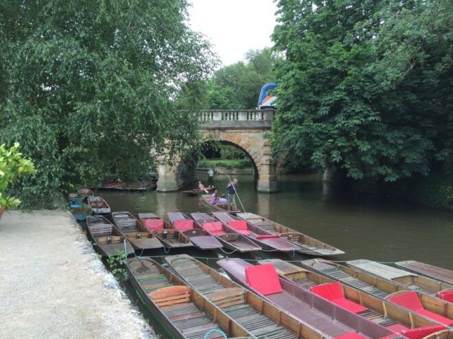 Oxford: Private City Tour & University Historical Highlights - College Life and Bodleian Library