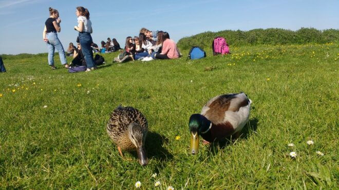Oxford: River Cruise and Walking Tour to Iffley Village - Participant and Date Information