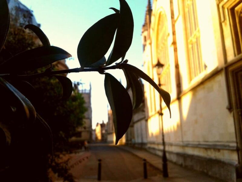 Oxford: Solo Traveller Private Tour - FAQs
