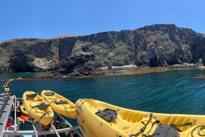 Oxnard: Anacapa Island Sea Cave Kayaking Day Tour - Tour Highlights