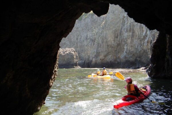 Oxnard: Anacapa Island Sea Cave Kayaking Day Tour - Common Questions