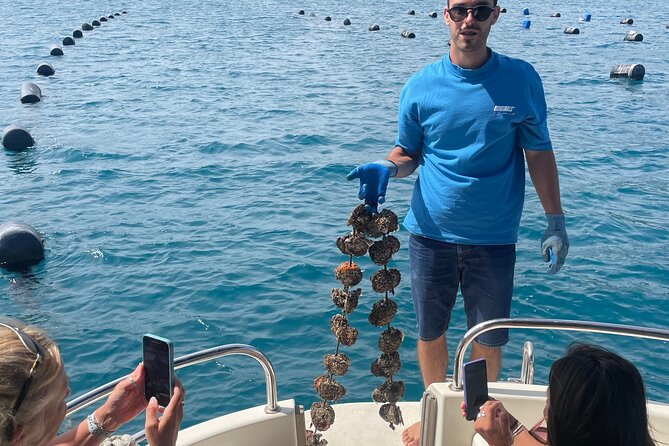 Oyster and Wine Tour - Good To Know