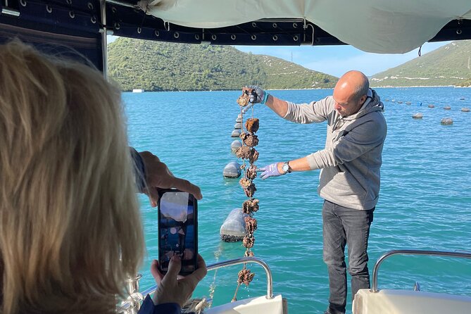 Oyster and Wine Tour - Cancellation Policy