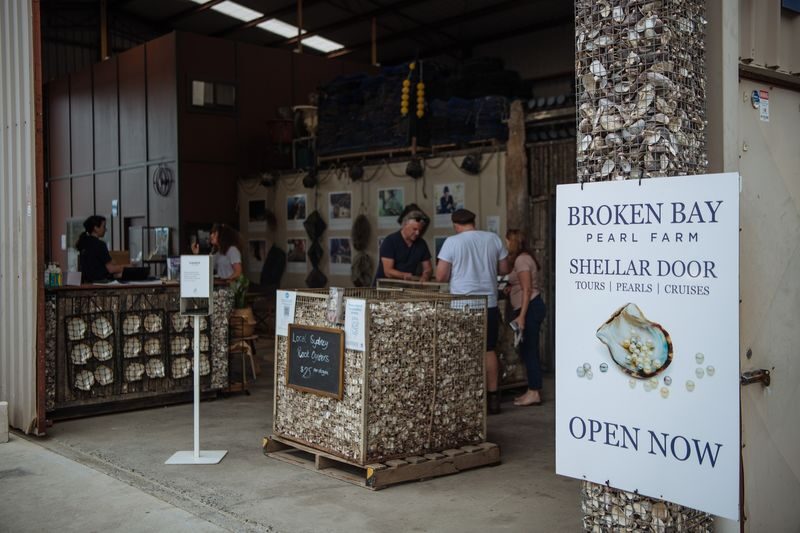 Oyster Cruise Shell to Showroom Experience - What the price gets you