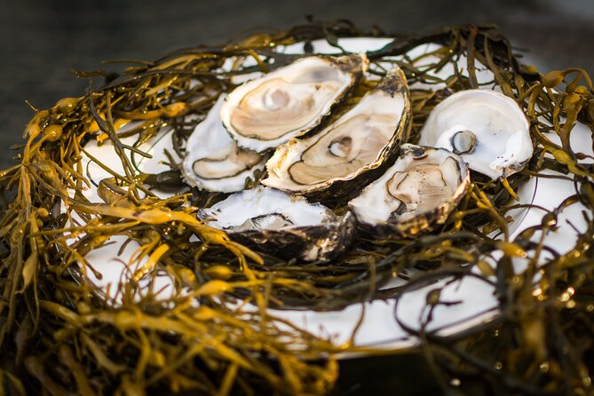 Oyster Farm and Tasting Experience - Participant Details
