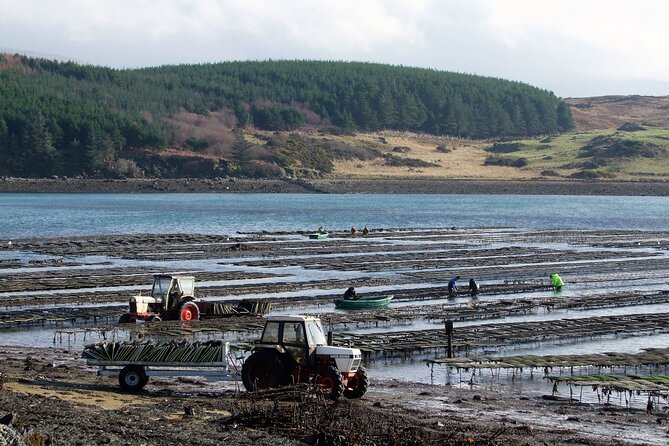 Oyster Farm and Tasting Experience - Common Questions