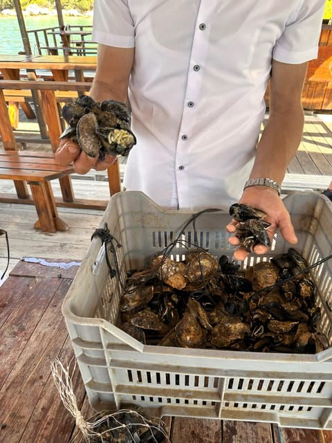 Oyster Farm Experience-Private Day Trip From Dubrovnik - Oyster Tasting Experience