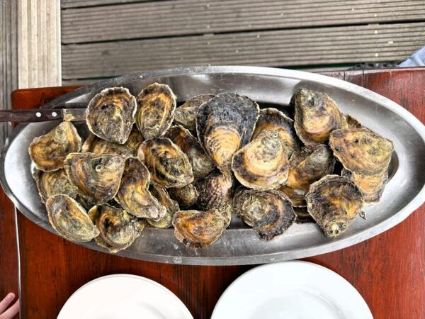Oyster Farm Experience-Private Day Trip From Dubrovnik - Local Culture and History