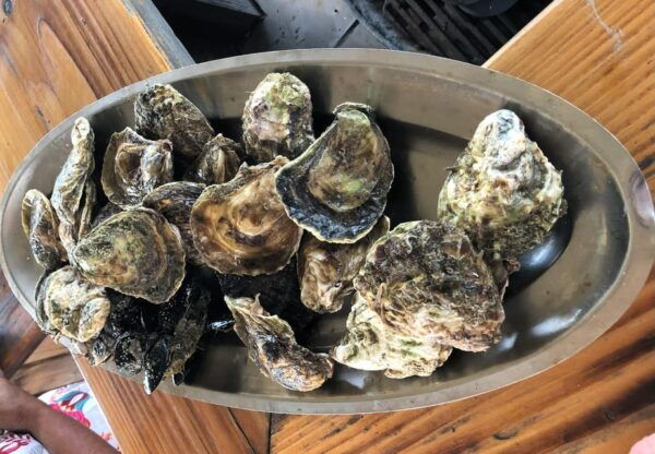 Oyster Farm Experience-Private Day Trip From Dubrovnik - Booking and Cancellation