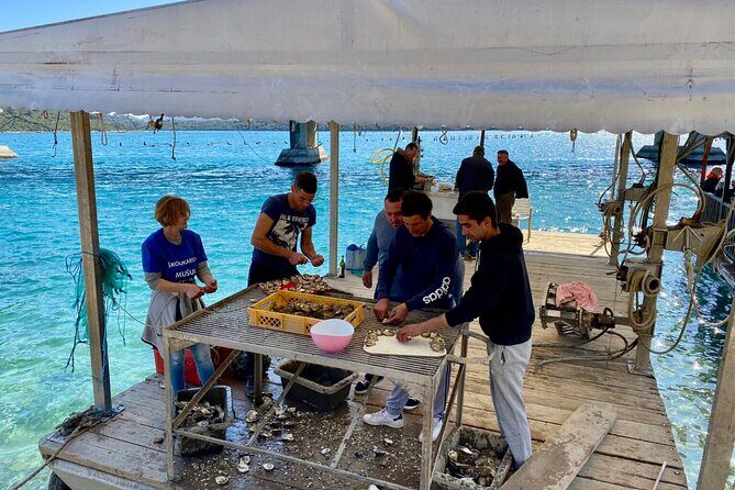 Oyster Farm, Ston and Winery Tour - Final Thoughts