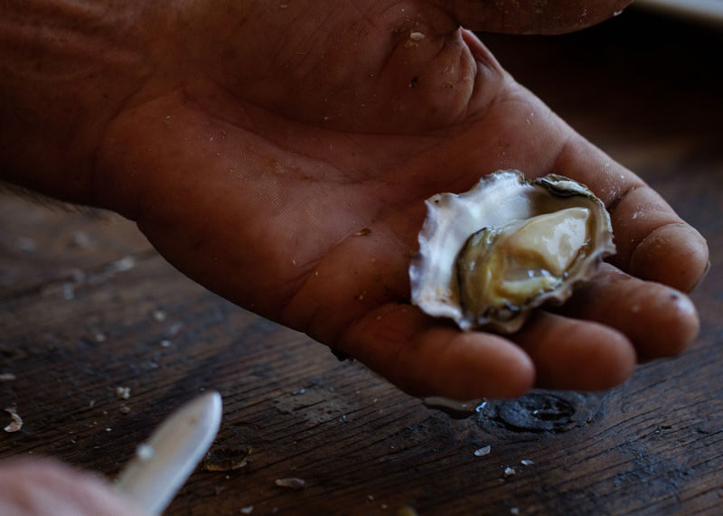 Oyster Farm to Plate Cruise and Tasting Experience - Learning to shuck at the harvest table