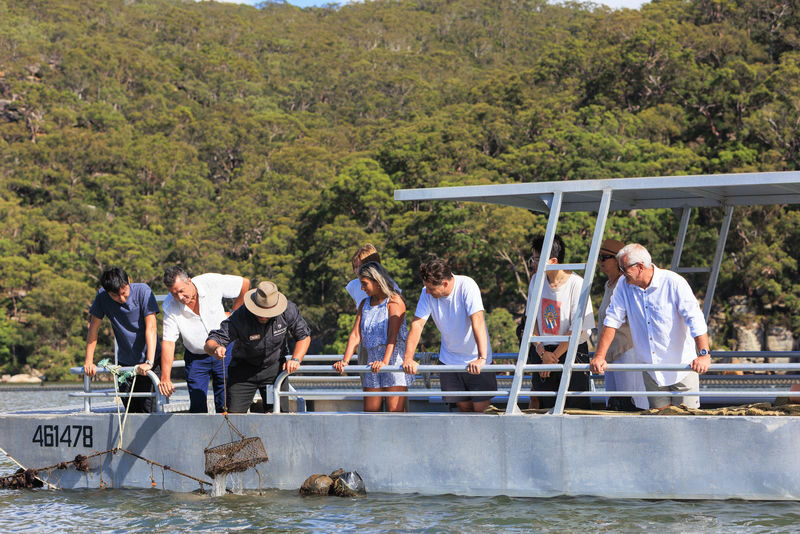 Oyster Farm to Plate Cruise and Tasting Experience - What the price includes, and what it doesn’t