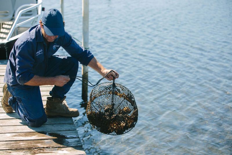 Oyster Farm to Plate Cruise and Tasting Experience - Who will enjoy this farm-to-plate outing?