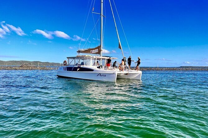 Oyster Farm Tour - Good To Know