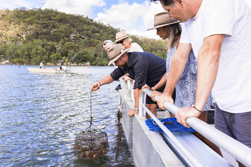 Oysters and Pearl Lovers Tour - Australian Akoya pearls and the grading room