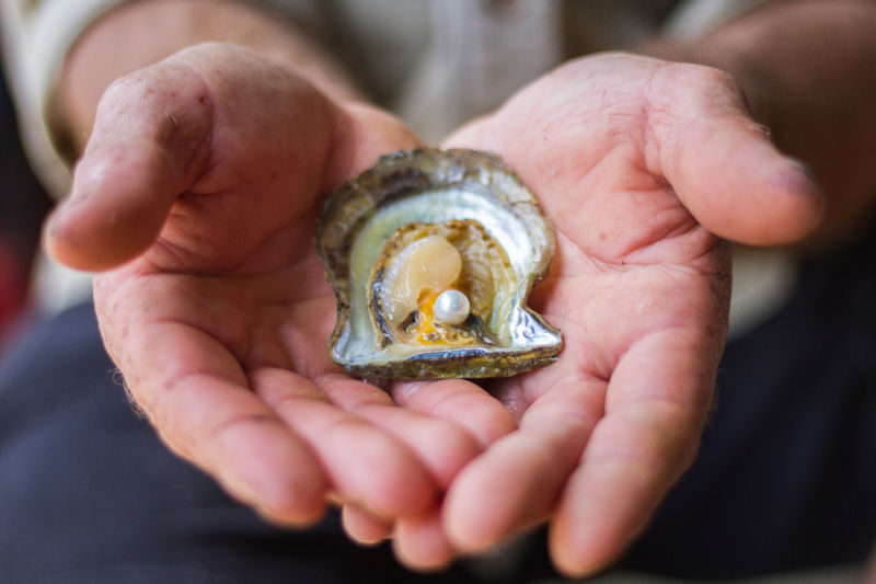Oysters and Pearl Lovers Tour - Who will enjoy this outing most