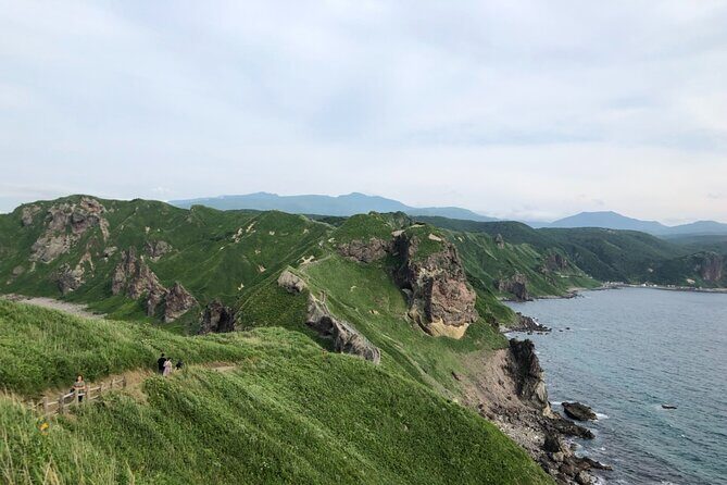 [Oysters in Suto] Let's go to Cape Kamui, Oyster Hut and Fukidashi Park by private car!To/from Sapporo - Final Verdict