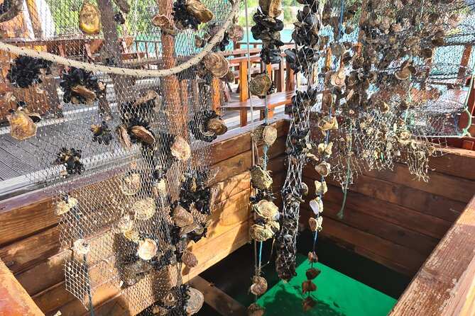 Oysters & Wine Tour From Dubrovnik (Small Group) - Cancellation Policy Details