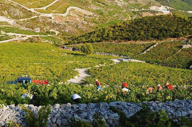 Oysters & Wine Tour From Dubrovnik (Small Group) - Additional Tour Information