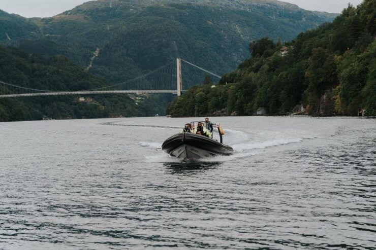 Øystese: Exclusive RIB Hardangerfjord Safari to Fyksesund - Good To Know