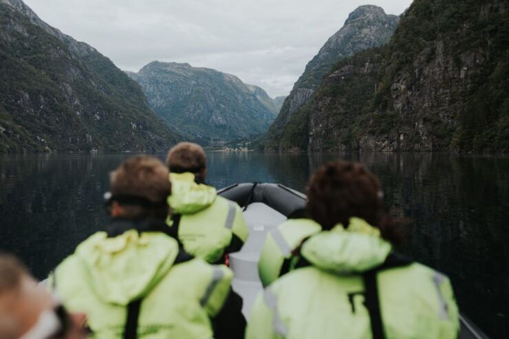 Øystese: Hardangerfjord RIB Safari to the Fyksesund Branch - Activity Highlights