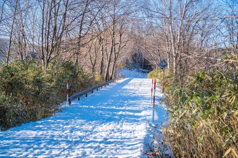Oyunuma Hot Spring Pond Winter Panorama Tour - The Sum Up