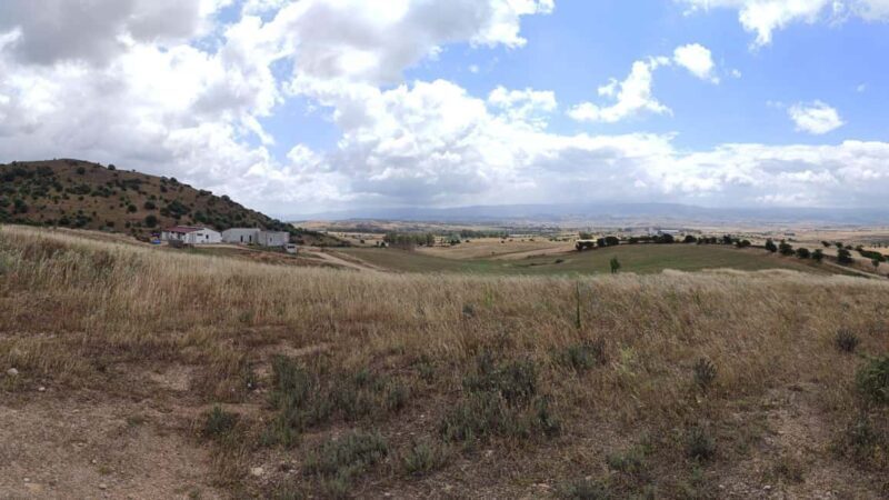 Ozieri: jam tasting in Tula - Final Thoughts