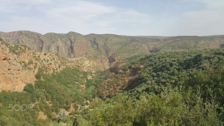 Ozoud Day Tour From Marrakesh - Booking Information