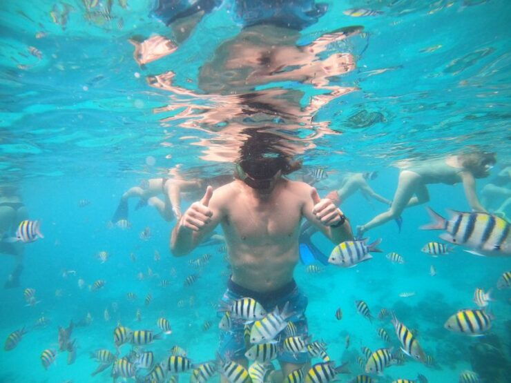 Ozzy Snorkeling 3 Islands - Good To Know