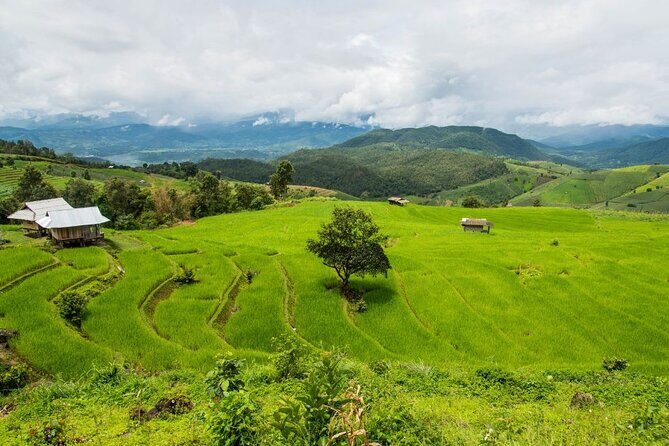 Pa Bong Piang Rice Terraces and Doi Inthanon Seasonal Day Tour - Practical Considerations and Tips