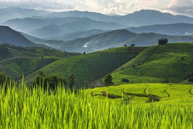 Pa Bong Piang Rice Terraces and Doi Inthanon Seasonal Day Tour - Who Is This Tour Best For?