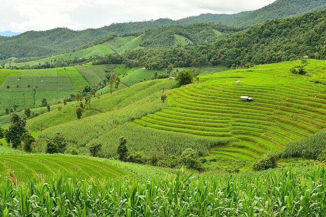 Pa Bong Piang Rice Terraces and Doi Inthanon Seasonal Day Tour - Final Thoughts