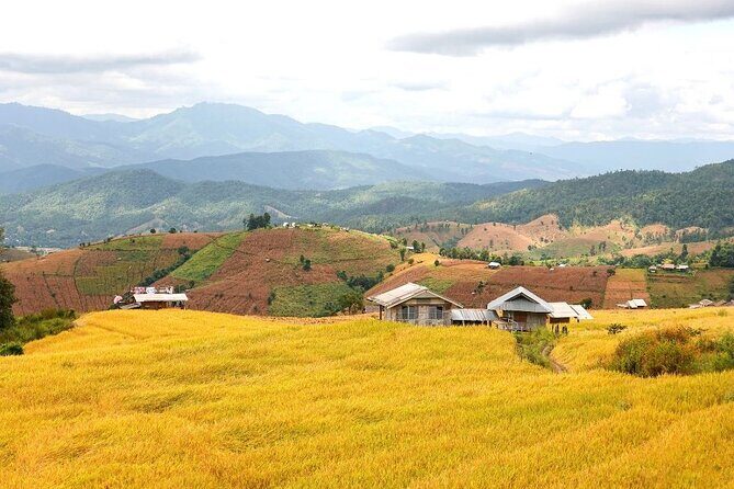 Pa Bong Piang Rice Terraces and Doi Inthanon Seasonal Day Tour - Transportation and Group Size