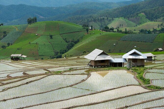 Pa Bong Piang Rice Terraces and Doi Inthanon Seasonal Day Tour - The Sum Up