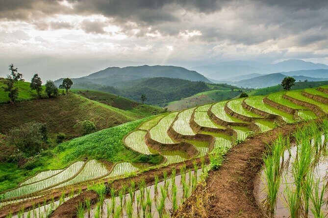 Pa Bong Piang Rice Terraces and Doi Inthanon Seasonal Day Tour - FAQ