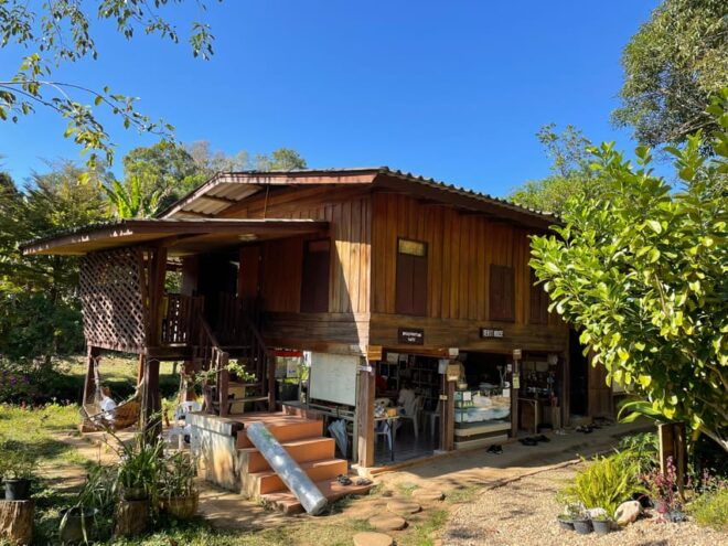 Pa Pae Meditation: Private Car Transfer To/From Chiang Mai - Pickup Procedures
