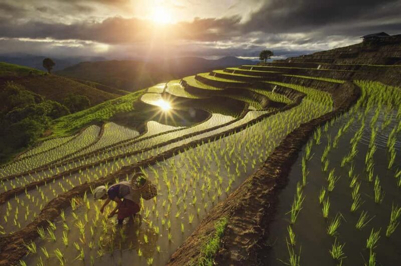 Pa Pong Piang - Good To Know