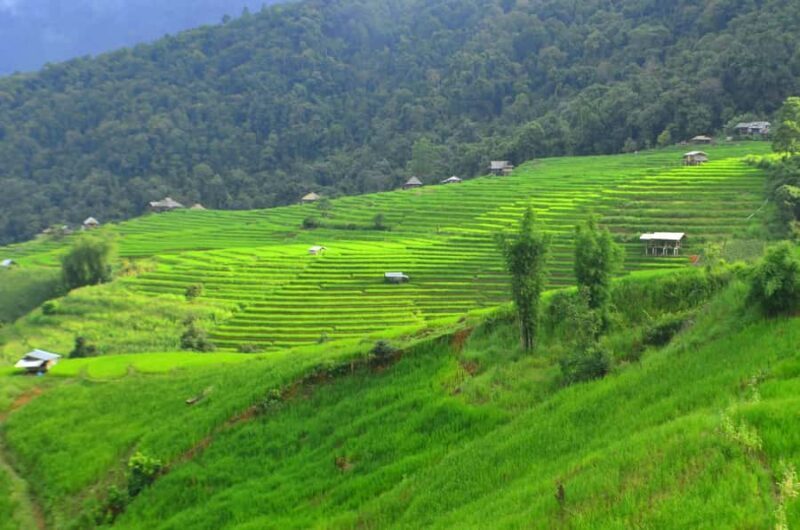 Pa Pong Piang - An Authentic Getaway into the Heart of Chiang Mai’s Countryside