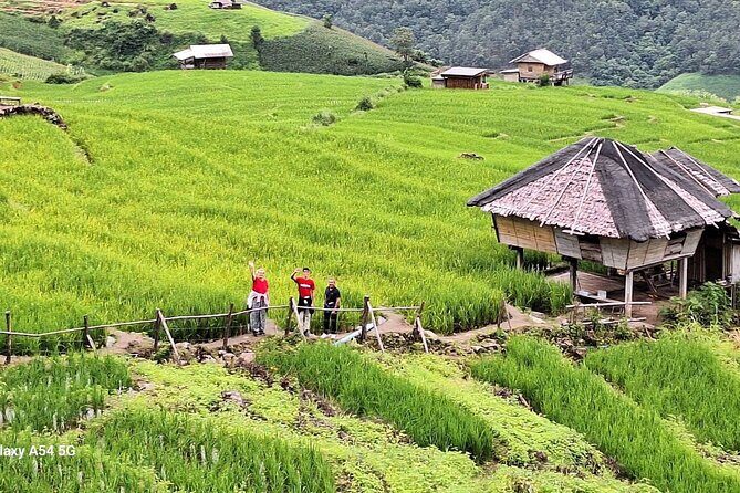 Pa Pong Piang Rice Terrace and Doi Inthanon National Park - Good To Know