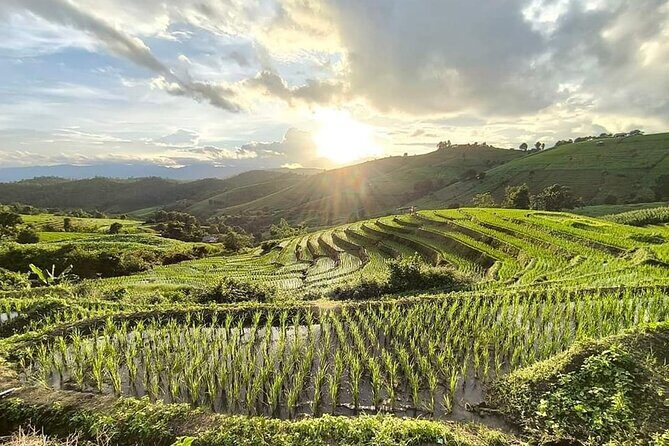Pa Pong Piang Rice Terrace and Doi Inthanon National Park - The Sum Up