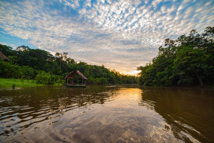 Pacaya Samiria Iquitos 4 Days Mistical Experience - Experience Highlights in the Jungle
