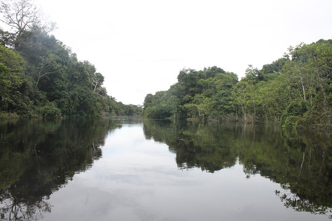 Pacaya Samiria National Park Full Day Tour - Itinerary Highlights