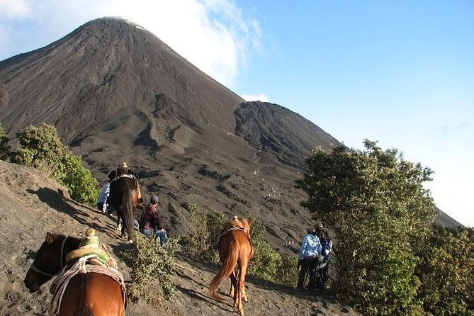 Pacaya Volcano Adventure From Quetzal Port. - The Sum Up
