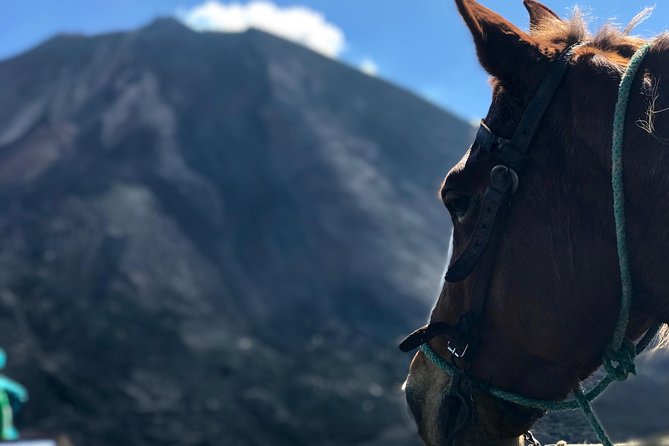 Pacaya Volcano and Thermal Pools - Tour Highlights