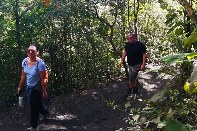 Pacaya Volcano Tour and Hot Springs From Guatemala City - Tour Inclusions and Pricing